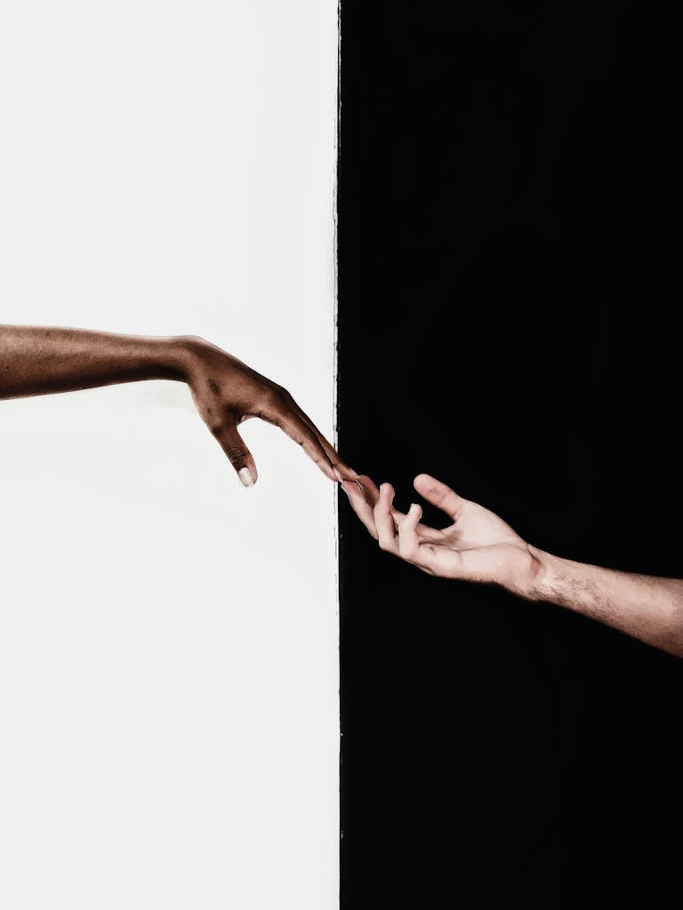 Symbolic image of two hands reaching toward each other, representing unity and diversity.